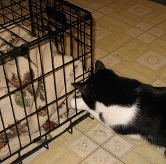 74922=4184-p 12 math 316.JPG