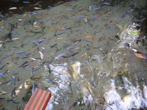 77579=4351-Disney 2011  December Hayth 8