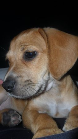 78844=4411-smaller crinkles.JPG