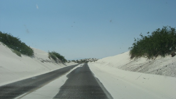 79078=4424-hiple pictures 063.JPG