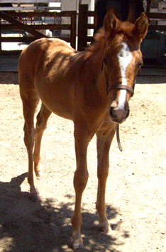 87425=4924-2008 August five.jpg.gif