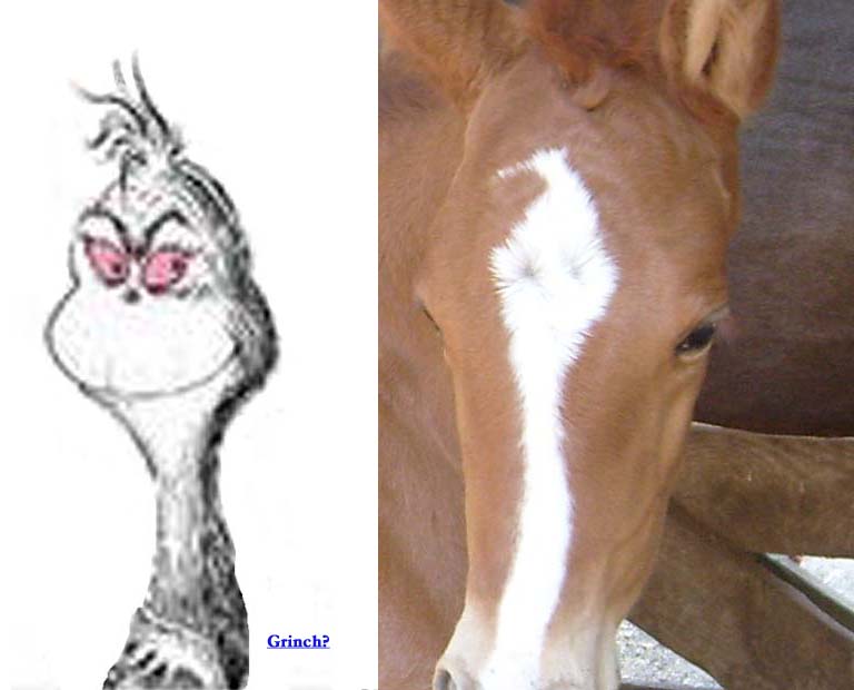 87425=4926-2008 August grinch compare.jp