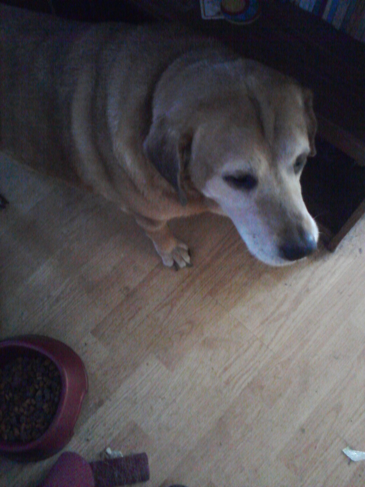 91752=5124-sprintpics 415.jpg