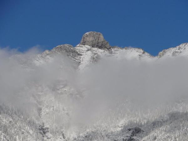 post-2301-0-67345300-1389403400_thumb.jp