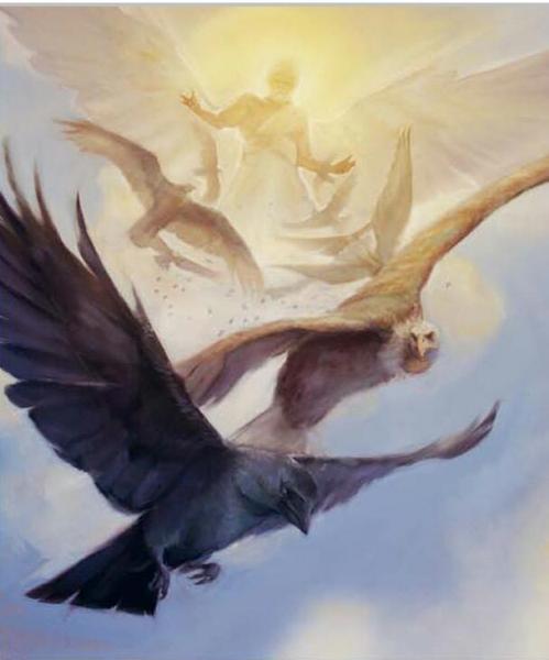 post-2322-0-51358100-1390772425_thumb.jp