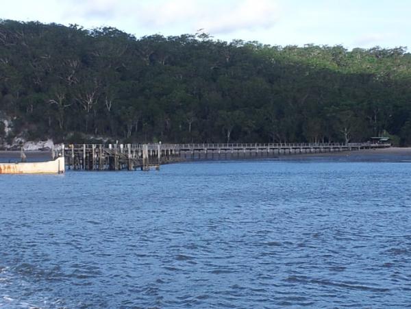 post-1015-0-45059000-1420204742_thumb.jp