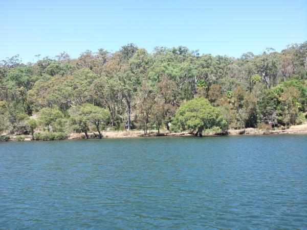 post-1015-0-72306400-1420204996_thumb.jp