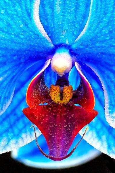 post-1015-0-95479700-1420373795_thumb.jp