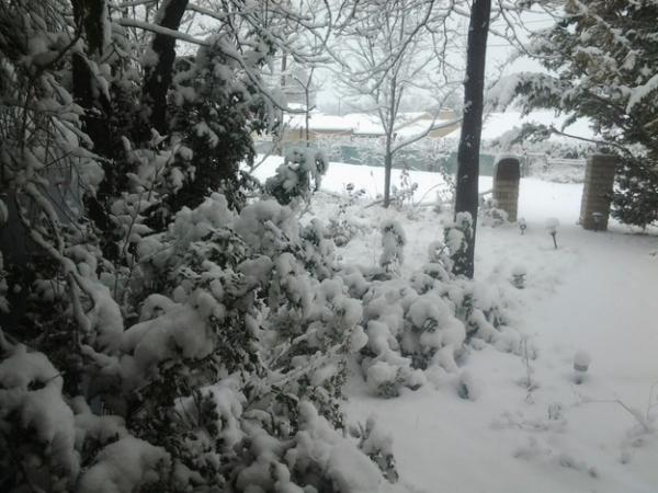 post-3346-0-93113500-1420212187_thumb.jp