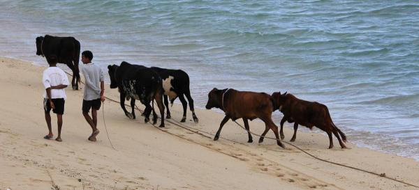 post-4085-0-75893900-1420795182_thumb.jp