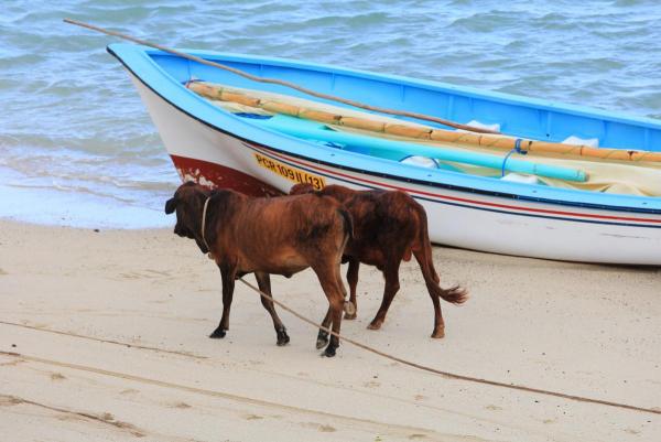 post-4085-0-88705900-1420793629_thumb.jp