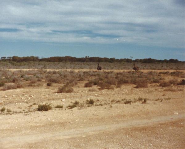 post-5044-0-95165300-1420770589_thumb.jp