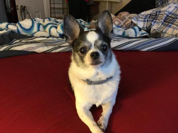 post-5413-0-10089400-1422152853_thumb.jp