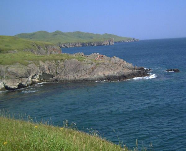 post-5434-0-26495200-1420874432_thumb.jp