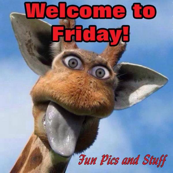 post-1083-0-39133900-1452464928_thumb.jp