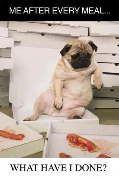 post-1083-0-66847500-1452464958_thumb.jp