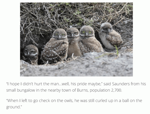 post-5984-0-48551100-1452566826_thumb.gi