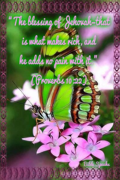 post-1015-0-42367900-1392989413_thumb.jp