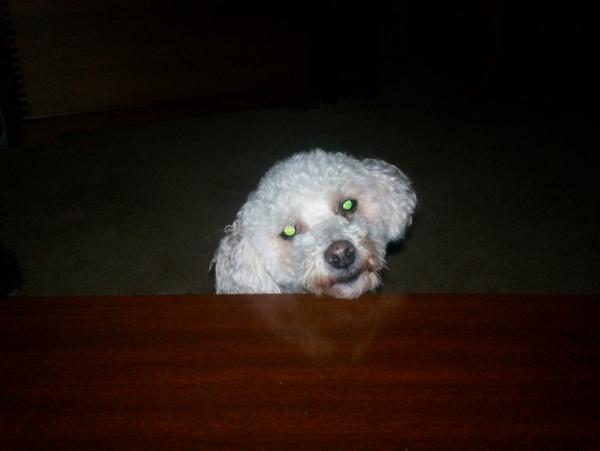 post-1083-0-67444800-1391447964_thumb.jp