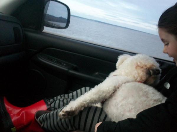 post-1083-0-74720200-1393303344_thumb.jp