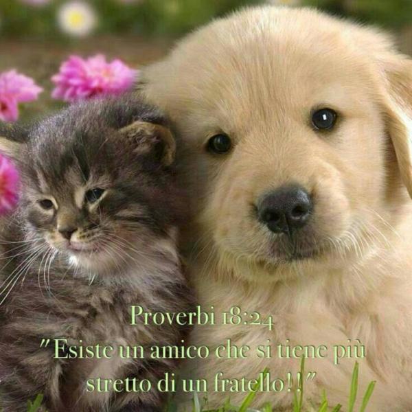 post-1015-0-12440000-1423340193_thumb.jp