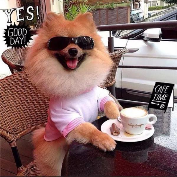 post-1015-0-22210200-1423339820_thumb.jp