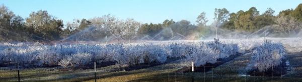 post-2173-0-54780600-1424654890_thumb.jp