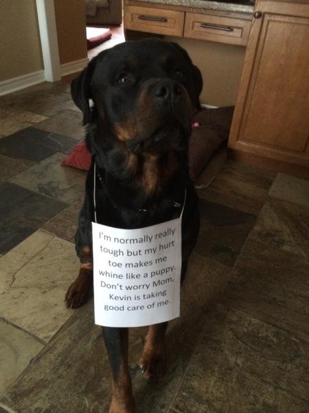 post-3423-0-86331600-1423240826_thumb.jp