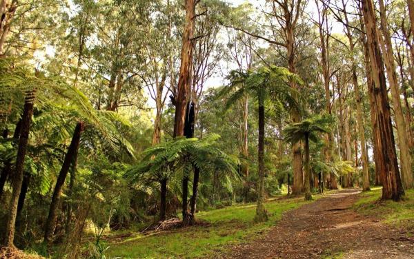 post-4085-0-08738800-1423122336_thumb.jp