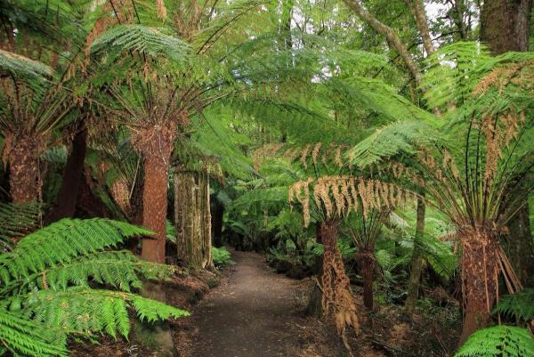 post-4085-0-54716400-1423050382_thumb.jp