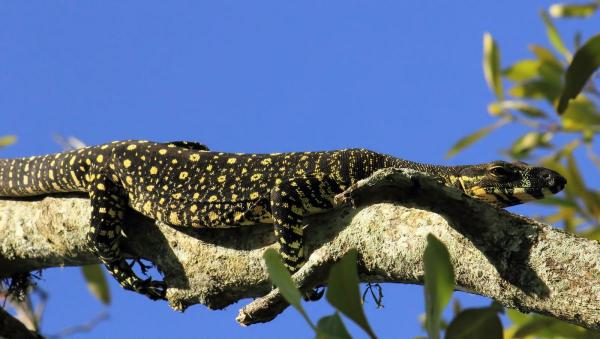 post-4085-0-73267000-1424588481_thumb.jp