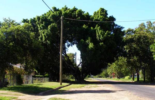 post-4283-0-96458800-1423455293_thumb.jp