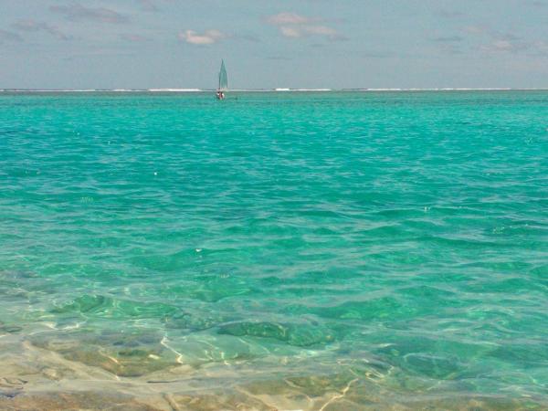 post-5044-0-06925800-1422774664_thumb.jp