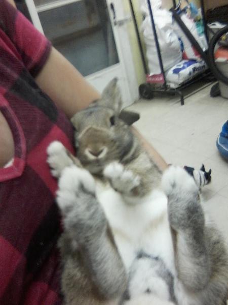 post-5413-0-77393400-1423700947_thumb.jp