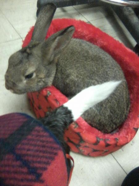 post-5413-0-91951400-1423700907_thumb.jp