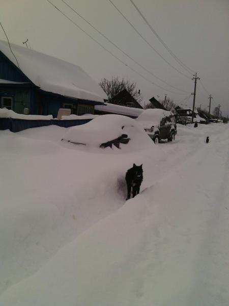 post-5434-0-57489800-1424823226_thumb.jp