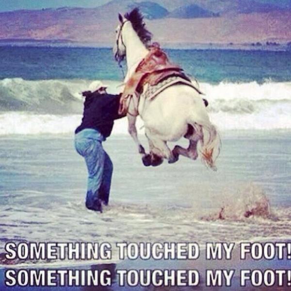 post-3004-0-75379800-1394923499_thumb.jp