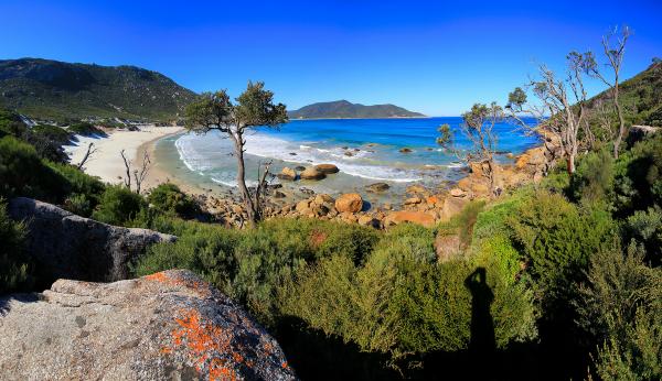 post-4085-0-19310900-1395089692_thumb.jp