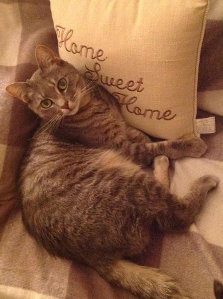 post-3603-0-51162900-1427613596_thumb.jp