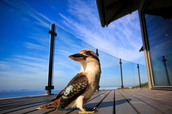 post-4085-0-00196700-1427023016_thumb.jp