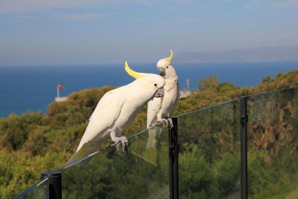 post-4085-0-18416800-1427021241_thumb.jp