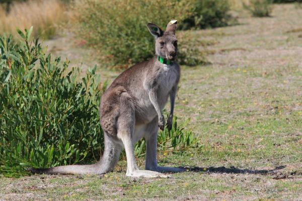 post-4085-0-31200900-1426124299_thumb.jp