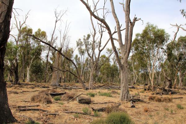 post-4085-0-39216000-1425931061_thumb.jp