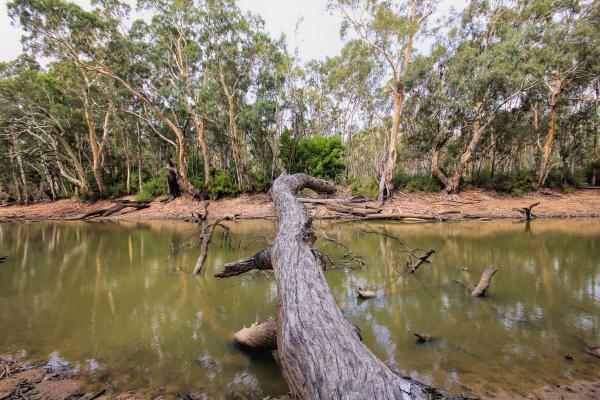 post-4085-0-83126200-1425866979_thumb.jp