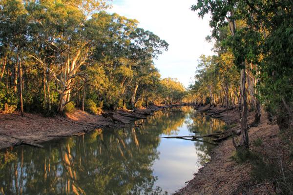 post-4085-0-83730000-1425801190_thumb.jp