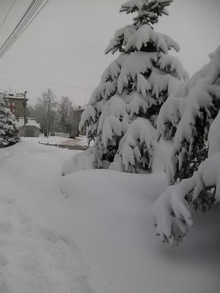 post-5434-0-24147600-1427072946_thumb.jp