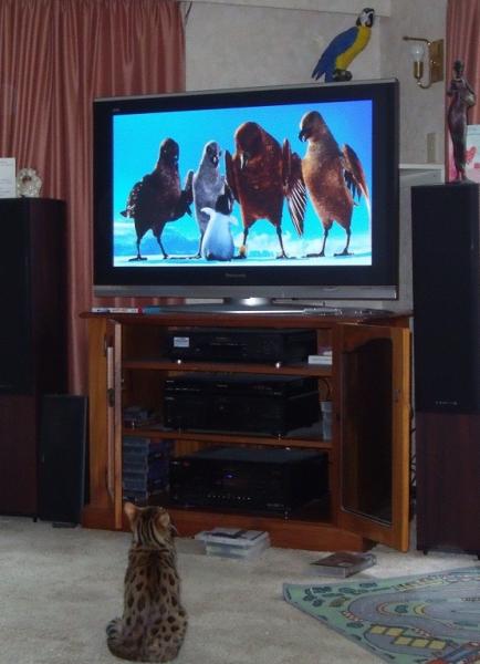 post-5482-0-84876300-1427501583_thumb.jp