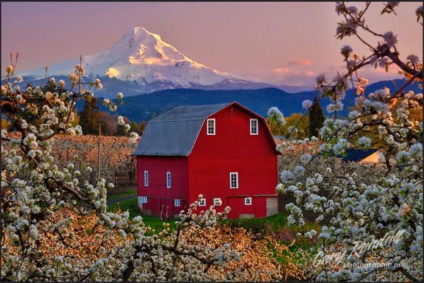 post-5619-0-64559500-1426971057_thumb.jp