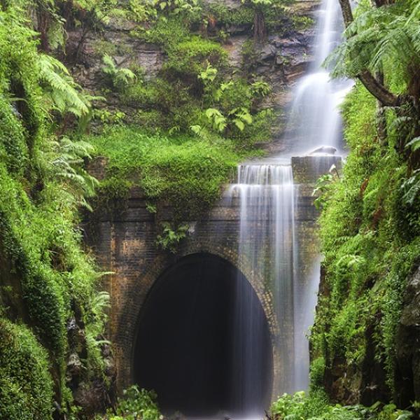 post-1015-0-34220900-1430051156_thumb.jp