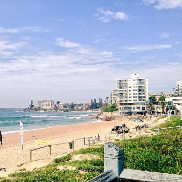 post-1015-0-63860100-1430051258_thumb.jp